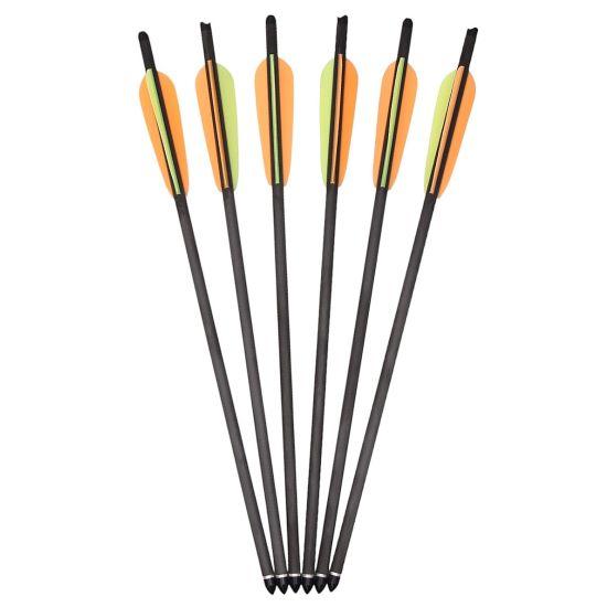 6 Stck. Carbonpfeile 20"
