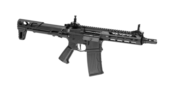 G&G CM16 SRS S-AEG